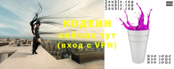 сатива Нягань