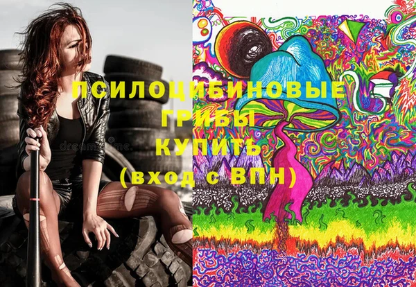 кокс Няндома