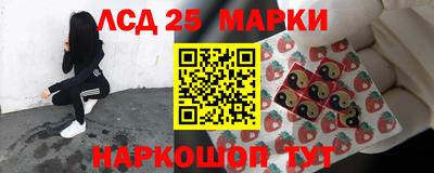стафф Донской