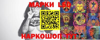 стафф Донской