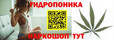 трава Кингисепп