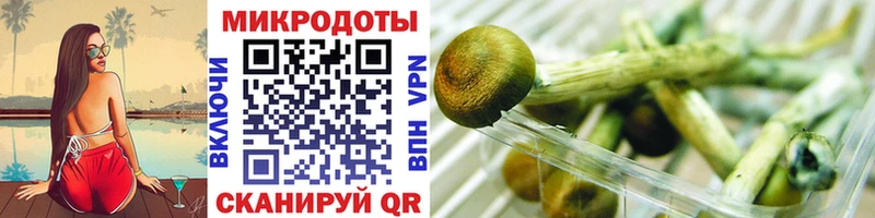 Псилоцибиновые грибы Magic Shrooms Лабинск