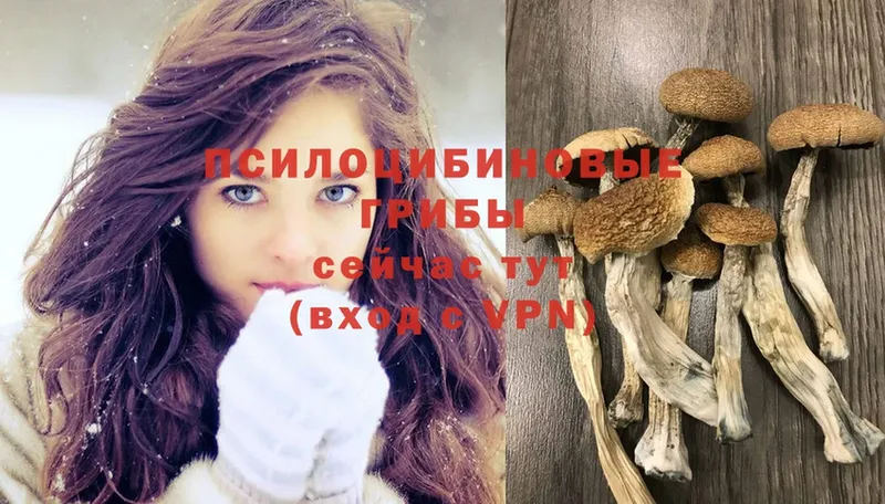 Псилоцибиновые грибы Magic Shrooms  Лабинск 