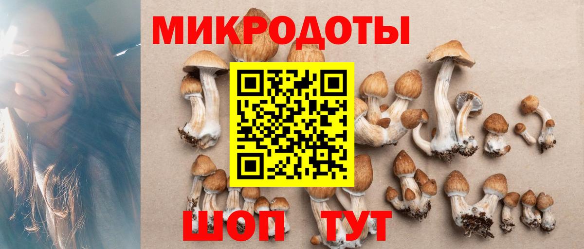 Псилоцибиновые грибы GOLDEN TEACHER Лабинск