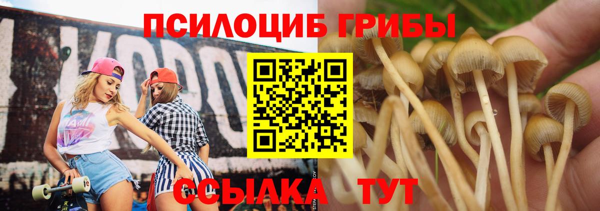 закладка  Псилоцибиновые грибы мицелий  Галлюциногенные грибы Cubensis  Вход с VPN  Лабинск 